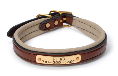 bridle leather dog collar with nameplate